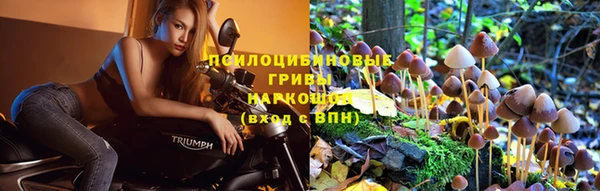 круглые Няндома