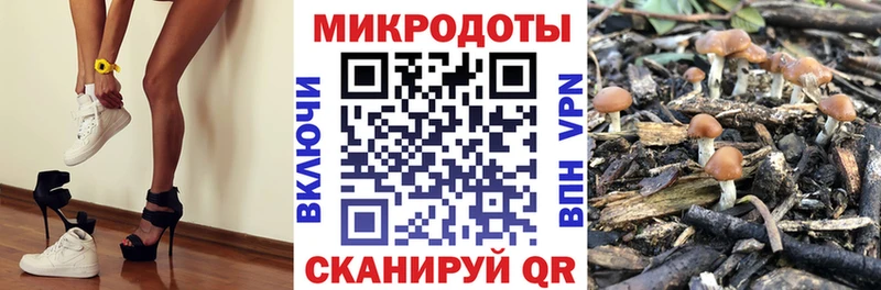 купить наркотик Наволоки Псилоцибиновые грибы Magic Shrooms